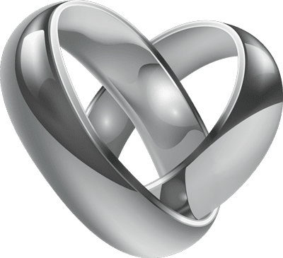 The Wedding Plans Rings